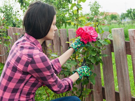 Customer checking secure payment options for hedge trimming