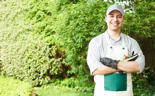 Photo of a technician communicating with a homeowner before a Fulham hedge trimming appointment