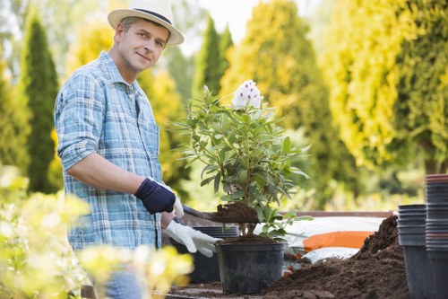 Professional pruning in a Fulham garden