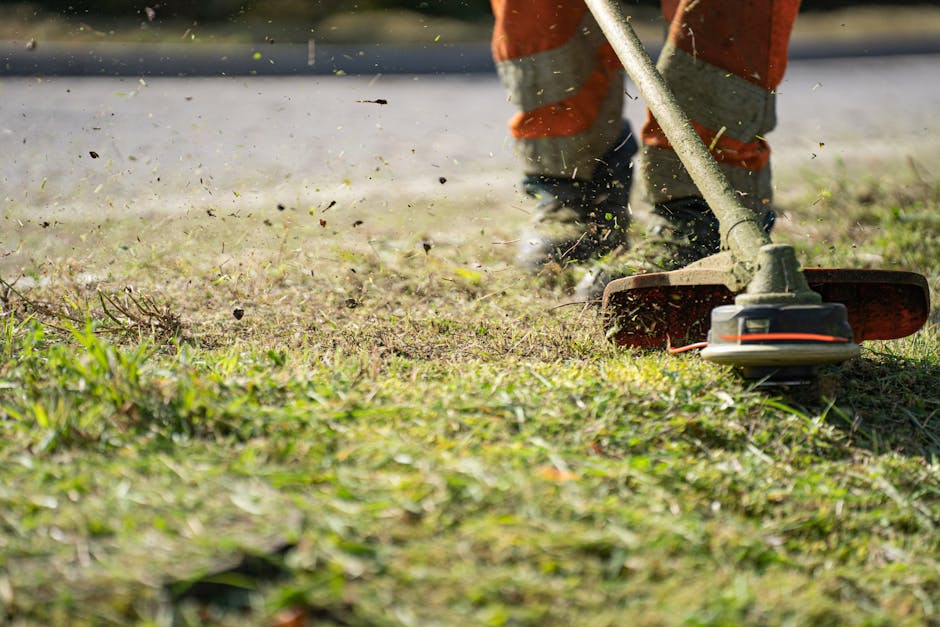 A close-up view of a garden during daytime shows a well-maintained grassy lawn bordered by lush green plants and shrubs. The grass appears freshly trimmed, with a smooth, even surface. To the left, a 